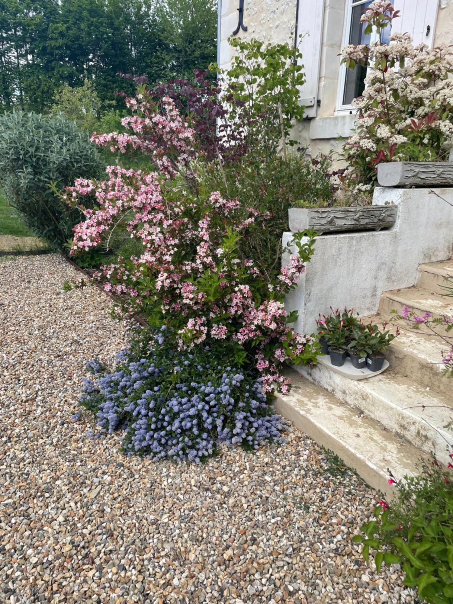 Domaine De La Vove Appartement Corbon  Buitenkant foto