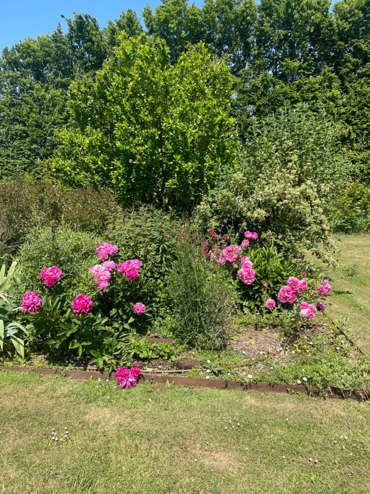 Domaine De La Vove Appartement Corbon  Buitenkant foto