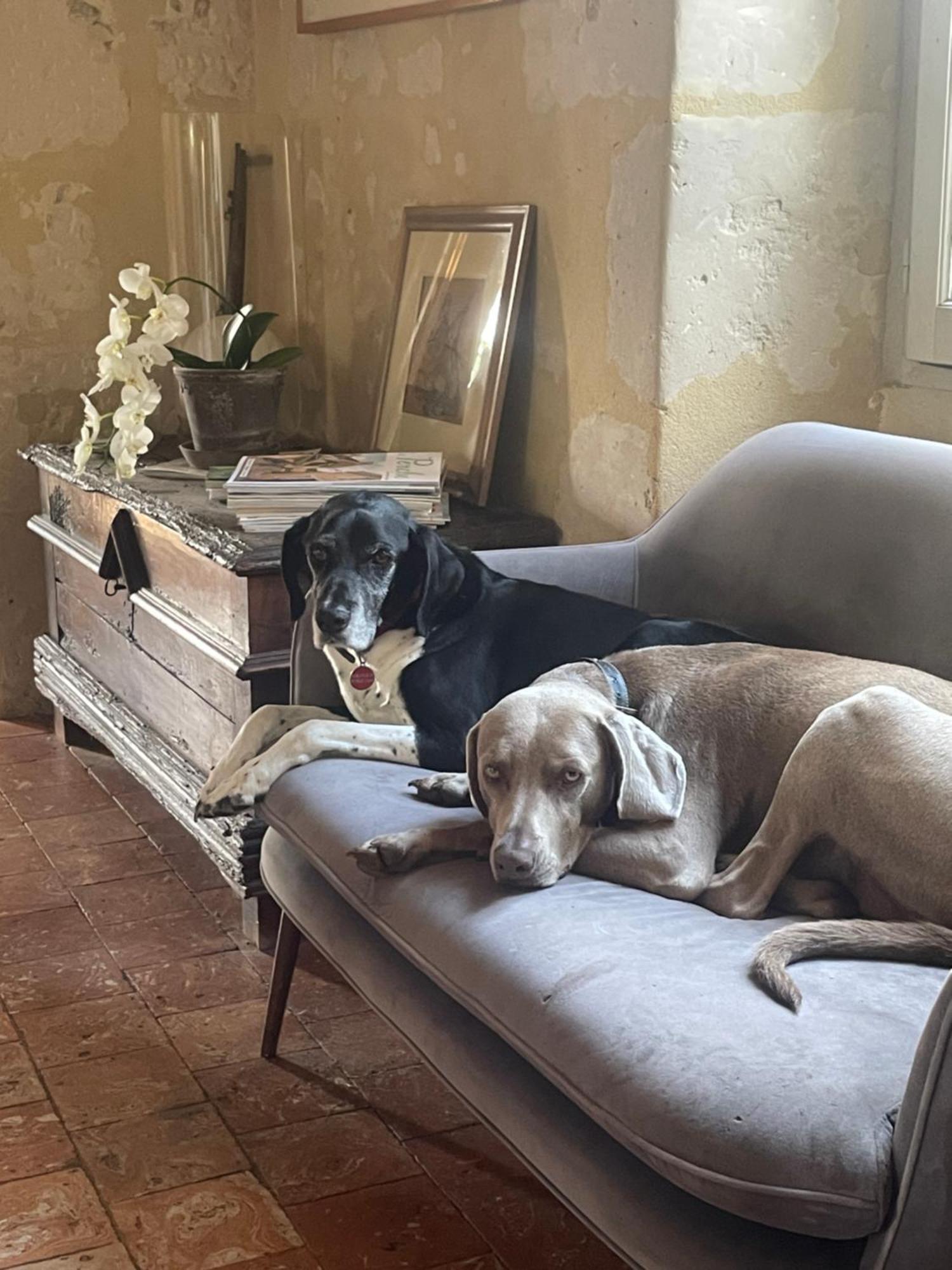 Domaine De La Vove Appartement Corbon  Buitenkant foto